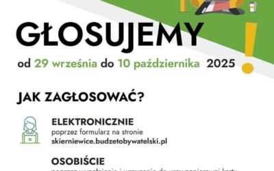 Budżet obywatelski 2025